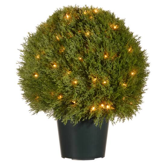 24" Cedar Pine Topiary with Round Green Growers Pot with 100 Clear Lights